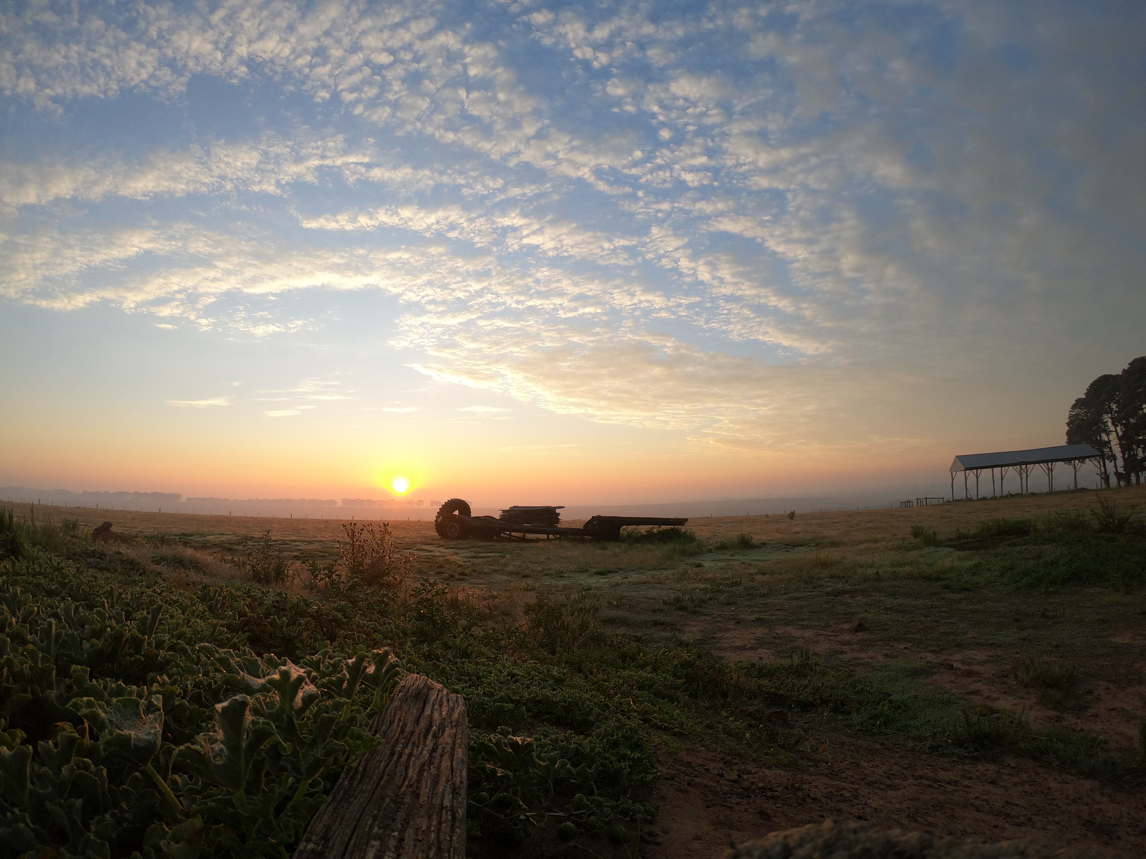 The sun has just risen over the horizon on a cloudy day, old machinery is in the middle of the shot, with mossy wood posts.