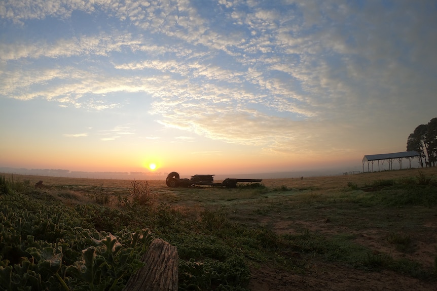 The sun has just risen over the horizon on a cloudy day, old machinery is in the middle of the shot, with mossy wood posts.