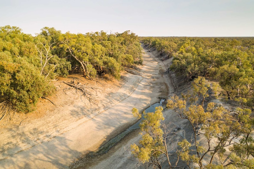 An aerial shot of a totally dry riverbed fringed with trees.