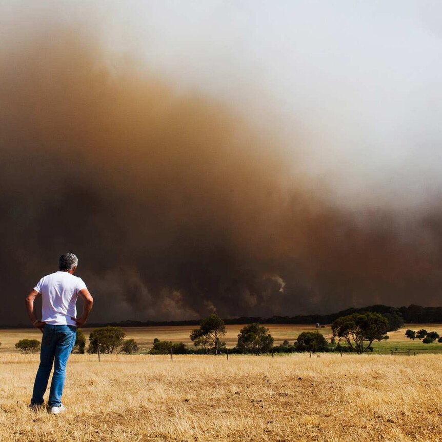 A man stands by helpless as a bushfire burns out of control, Lower Eyre Peninsula, South Australia.