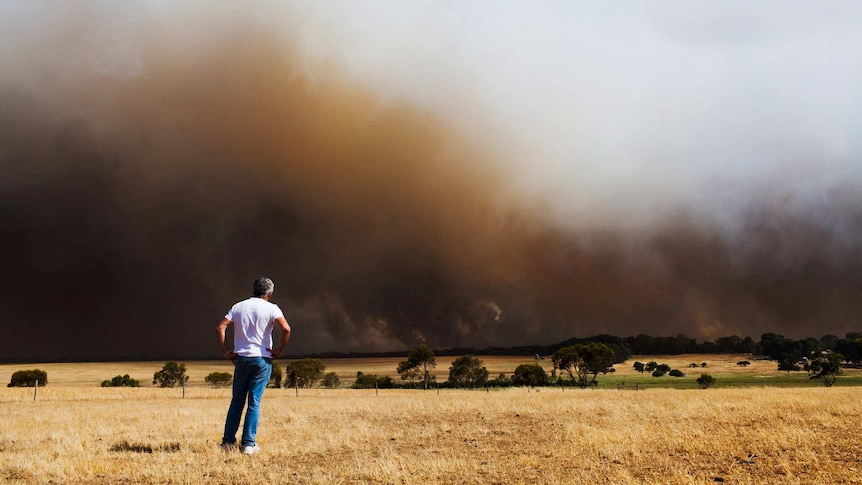 A man stands by helpless as a bushfire burns out of control, Lower Eyre Peninsula, South Australia.