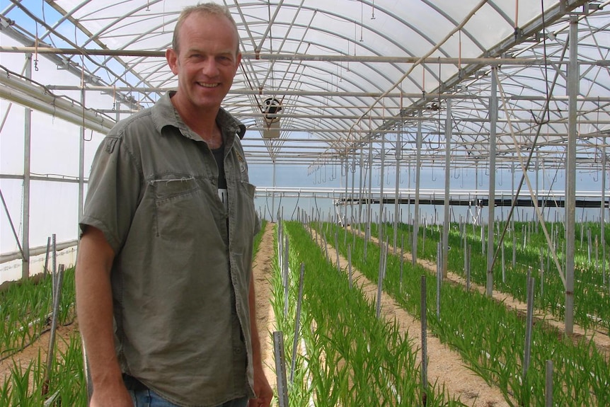 Maarten Blokker in the greenhouse