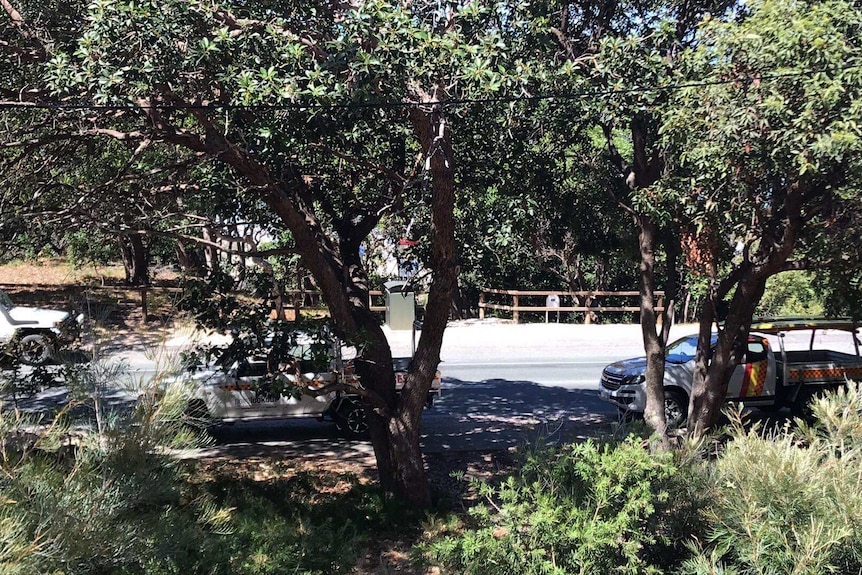 Leafy trees shade the road at an entrance to Frenchman's beach on Stradbroke Island.