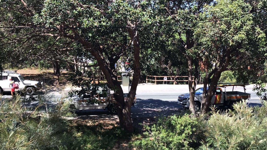 Leafy trees shade the road at an entrance to Frenchman's beach on Stradbroke Island.