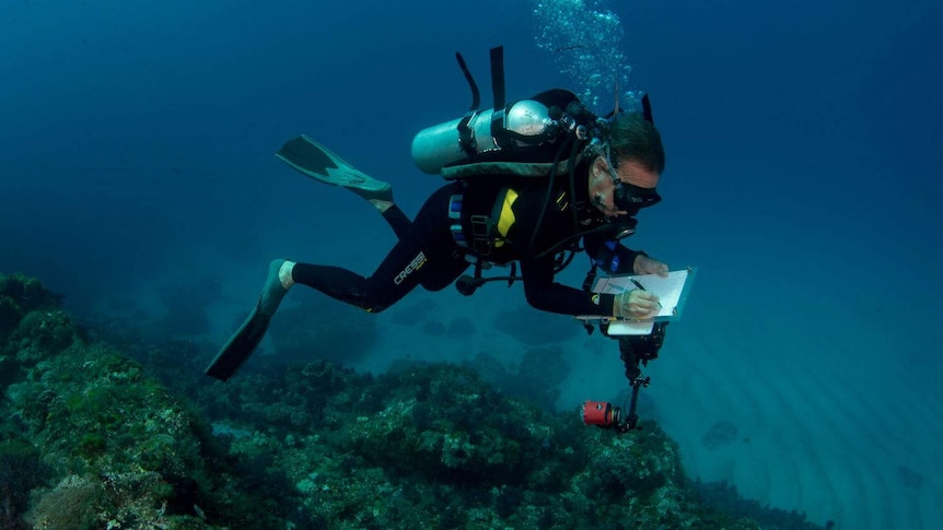 A diver takes notes on a clipboard while swimming.