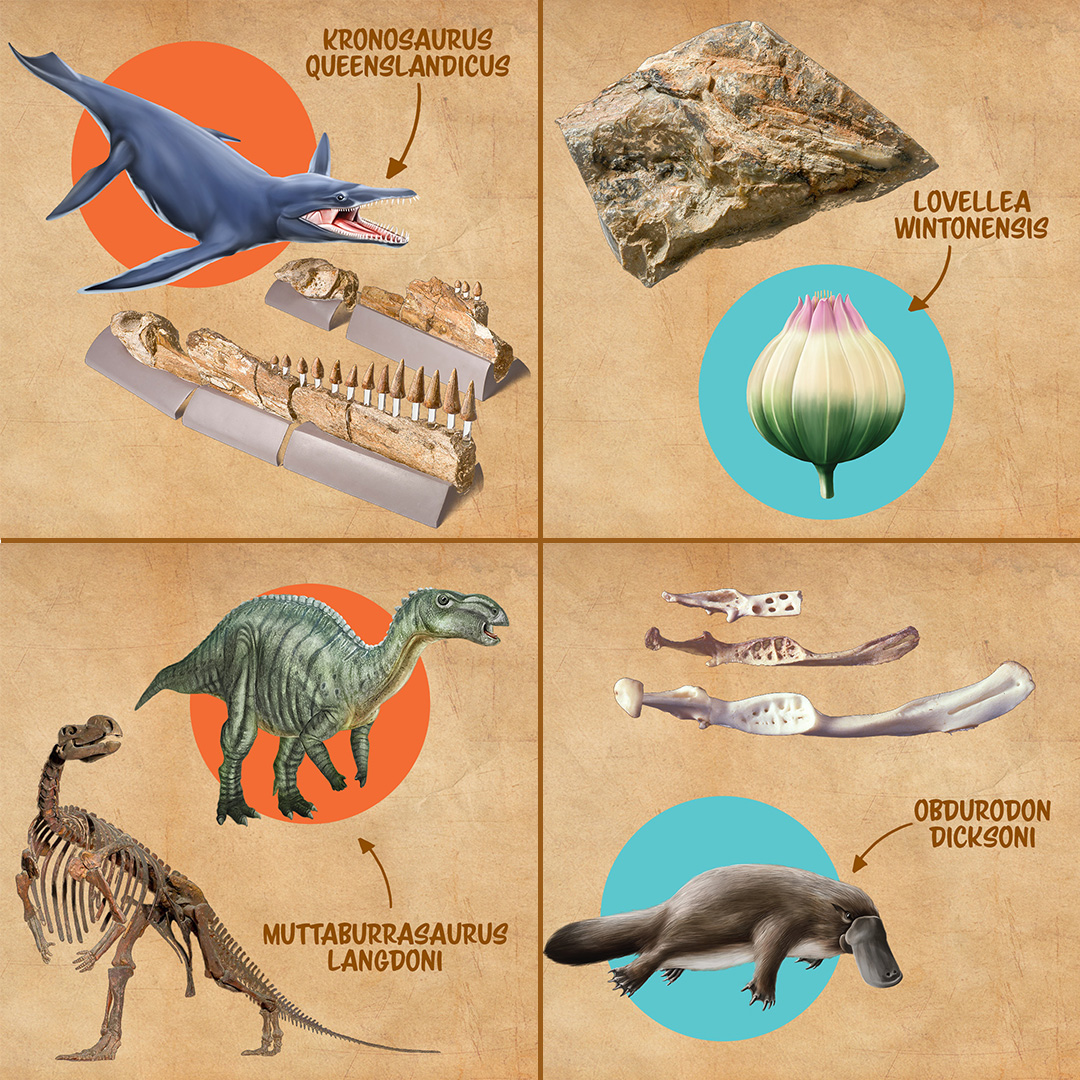 Image shows the bones of a dinosaur next to an illustration of what the dinosaur would look like in the flesh.