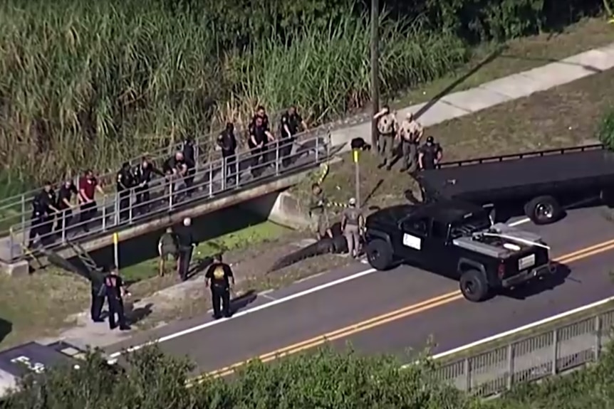 A blurry aerial photo shows police standing at the entrance to a waterway as an alligator is about to be loaded onto a truck.