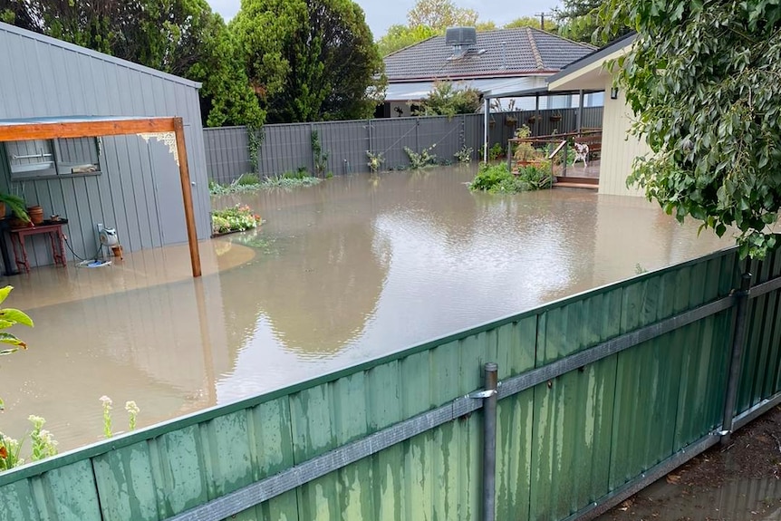 suburban backyard under water