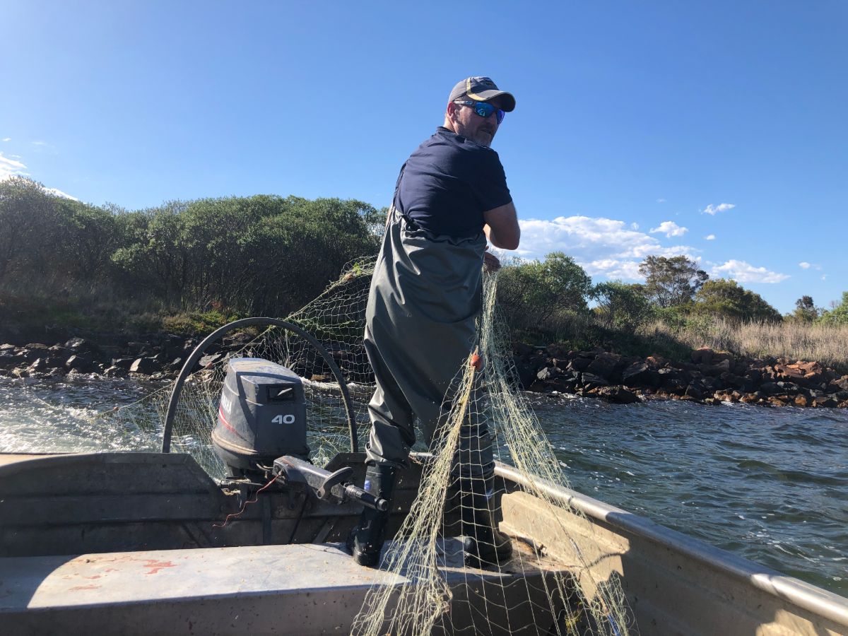 Tensions rise ahead of net fishing ban on the Gippsland Lakes ABC News