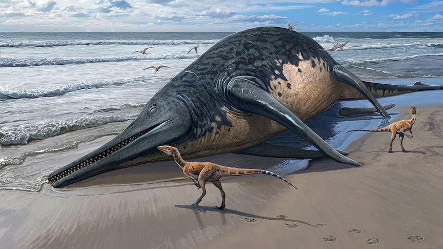 An artists impression of an ichthyosaur washed up on the beach.