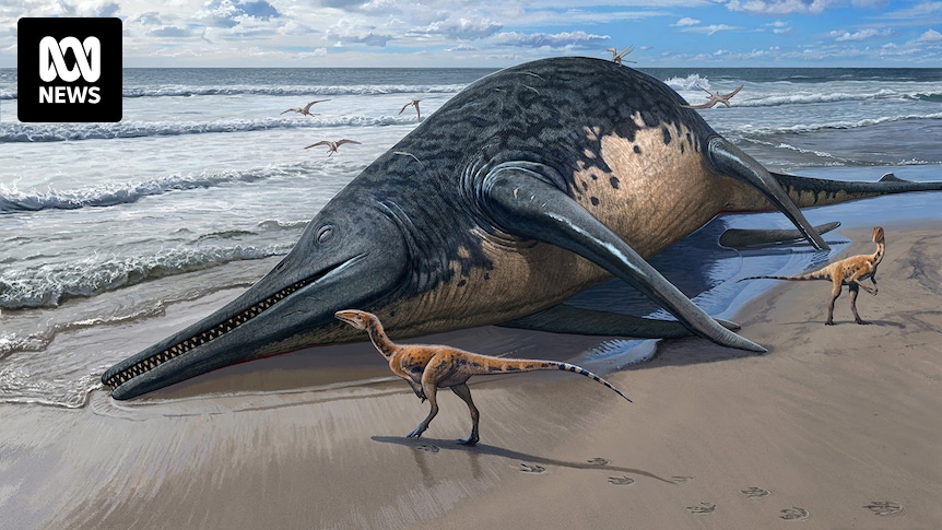 Gigantic marine reptile identified from fossil found by 11-year-old girl and father