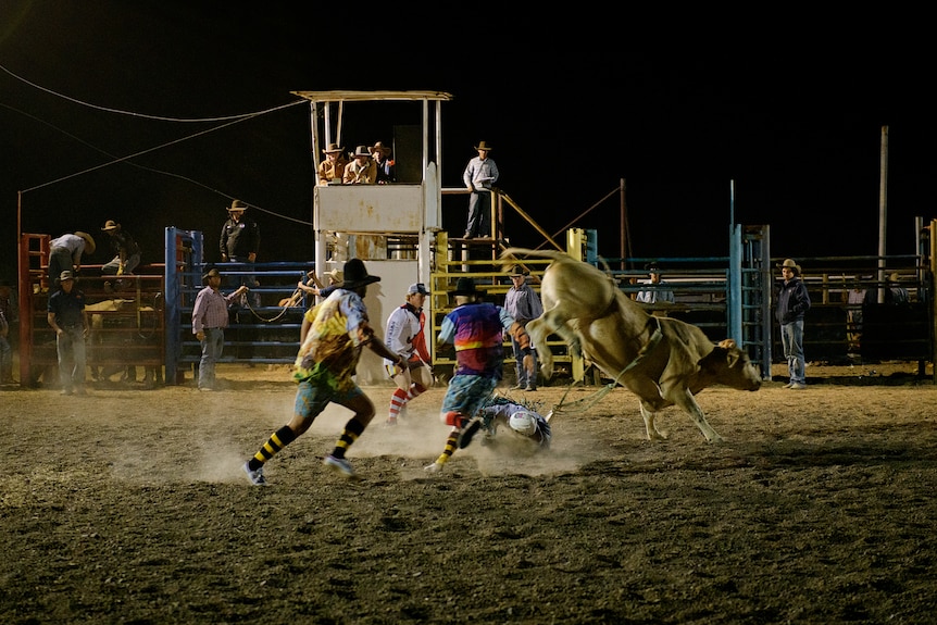 Ездач пада от бика си, докато го язди на родео, в затънтена родео арена по здрач.