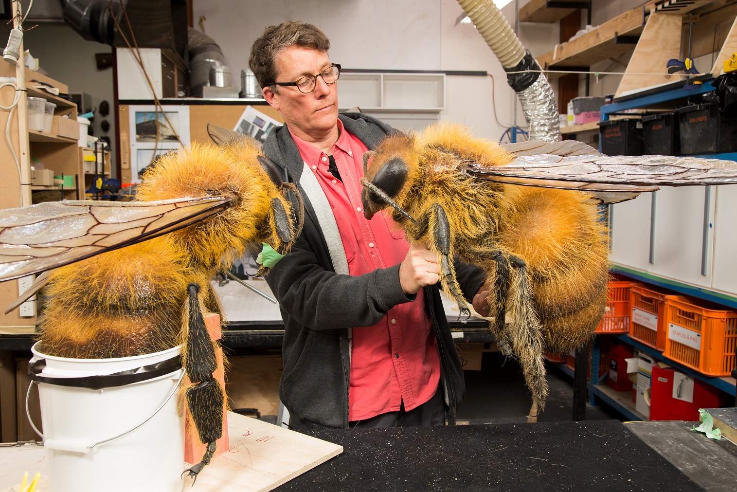 From Hobbits to honeybees: A peek inside Weta's special effects cave ...