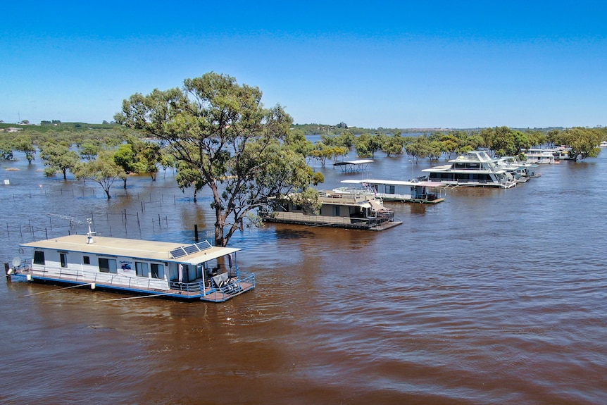 Houseboats surrounded by water