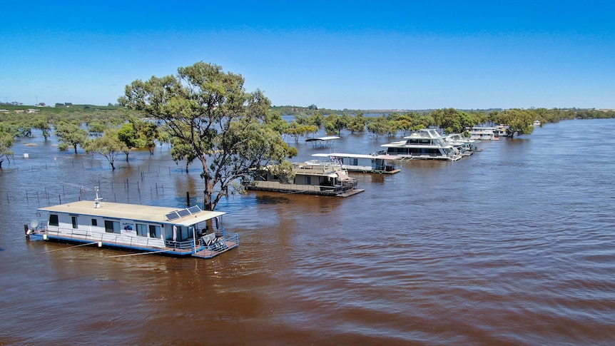 Houseboats surrounded by water