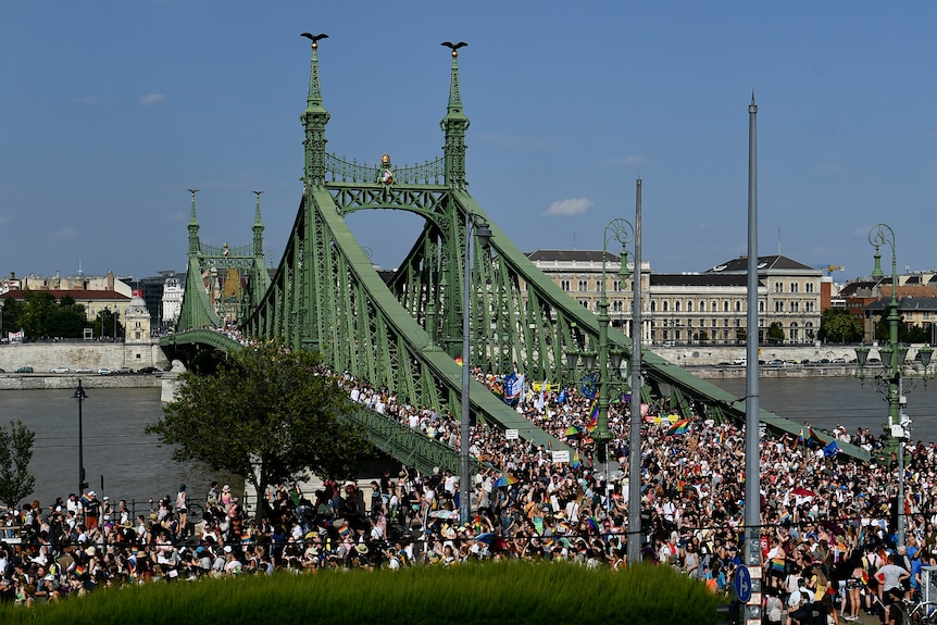 Crowds march across the Freedom Bridge over the River Danube