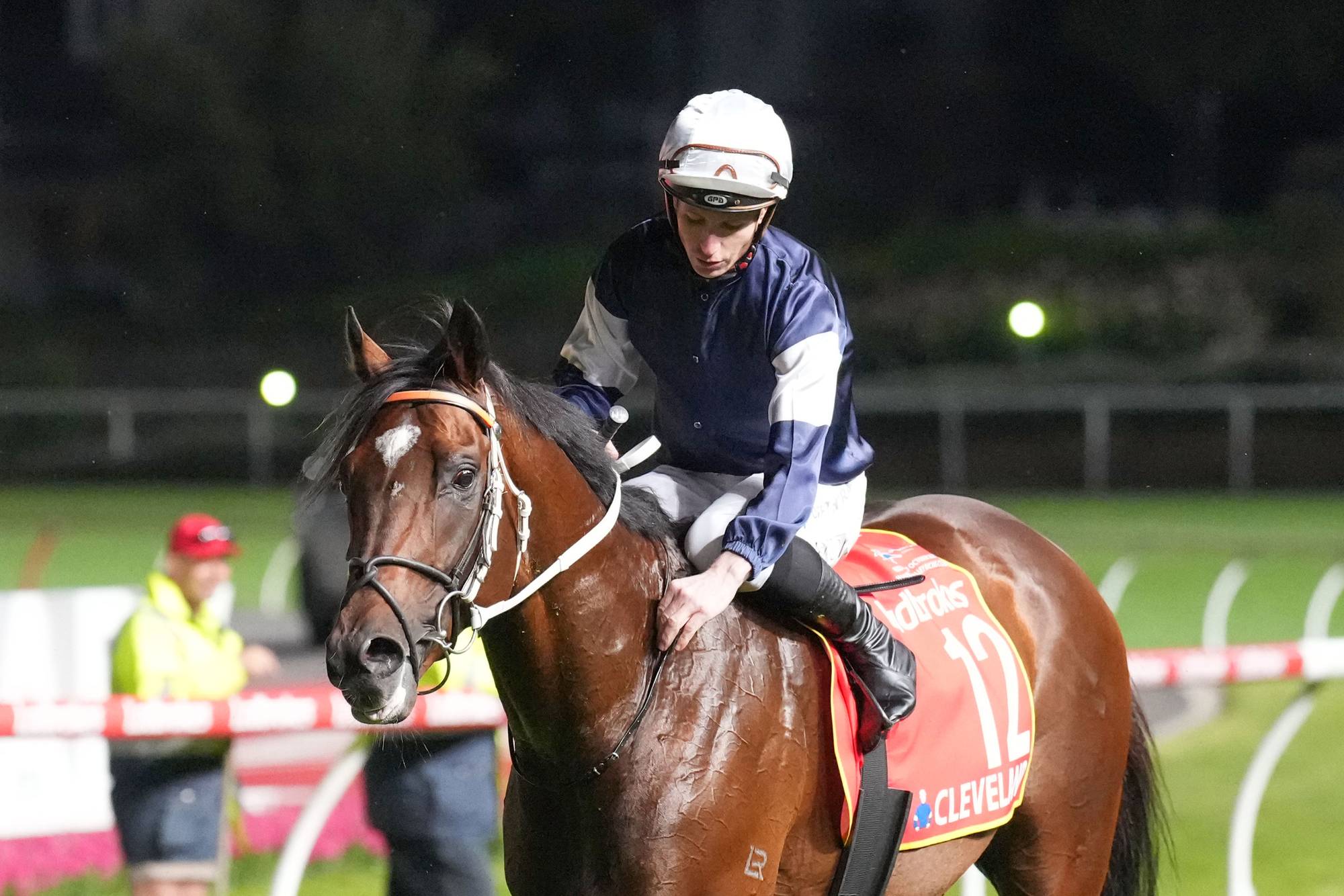 A jockey and horse return after winning a race.