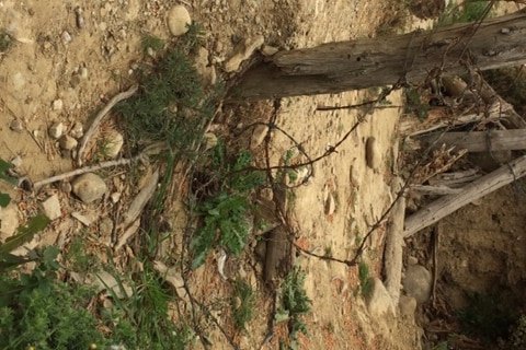 The remnants of a trench used by Anzac troops in Gallipoli