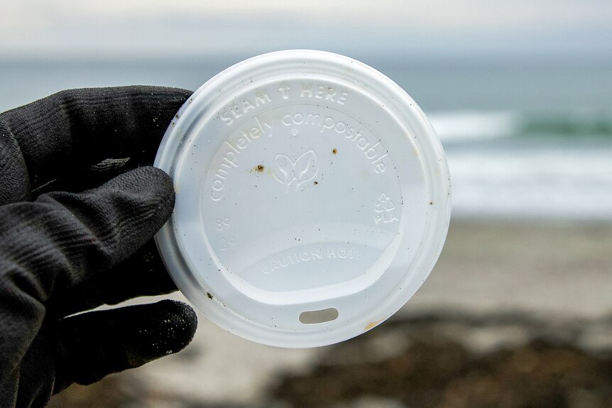Lid of a compostable coffee cup