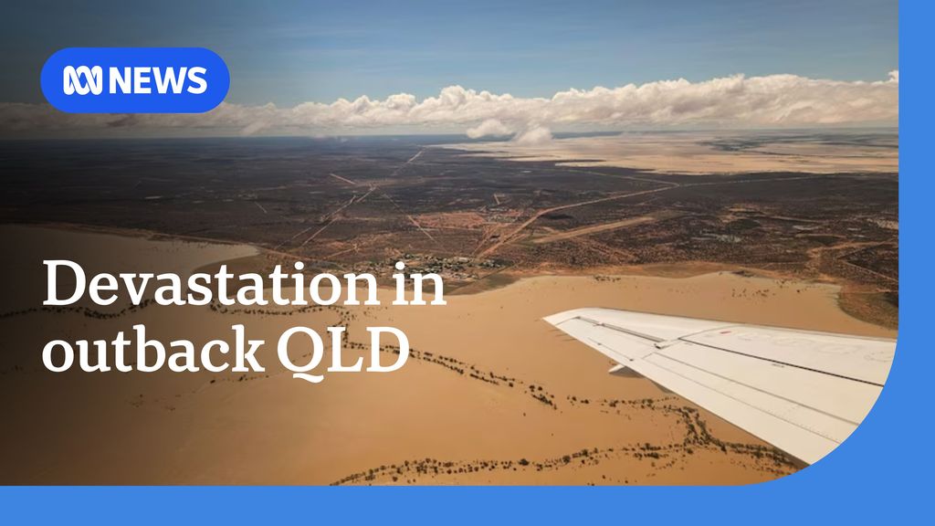 Queensland graziers suffer major stock losses amid devastating flooding ...