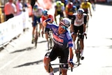 An Australian cyclist grimaces and punches the air in jubilation after winning a stage in a sprint.