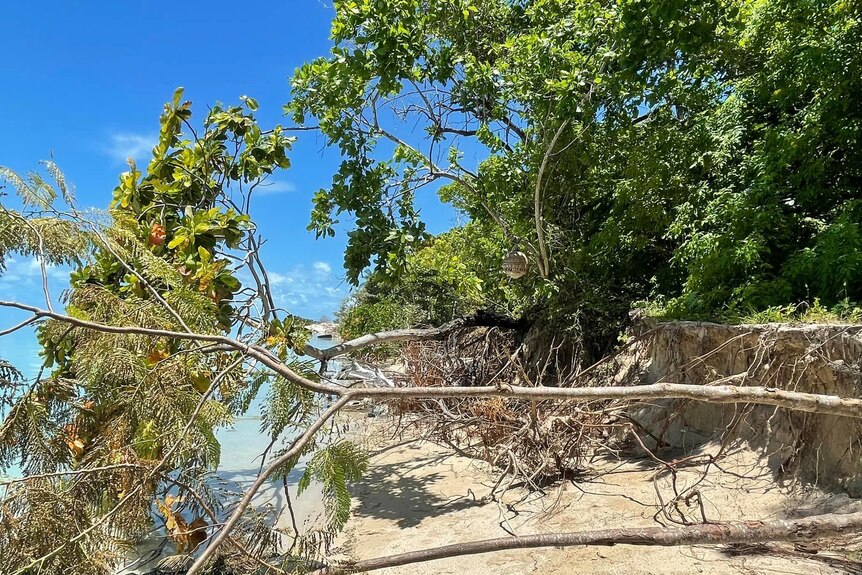 Erosion on Warraber Island.