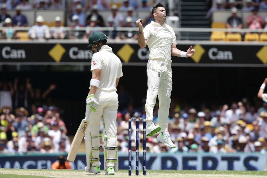 England's James Anderson (R) celebrates the wicket of Australia's Tim Paine (L) at the Gabba.