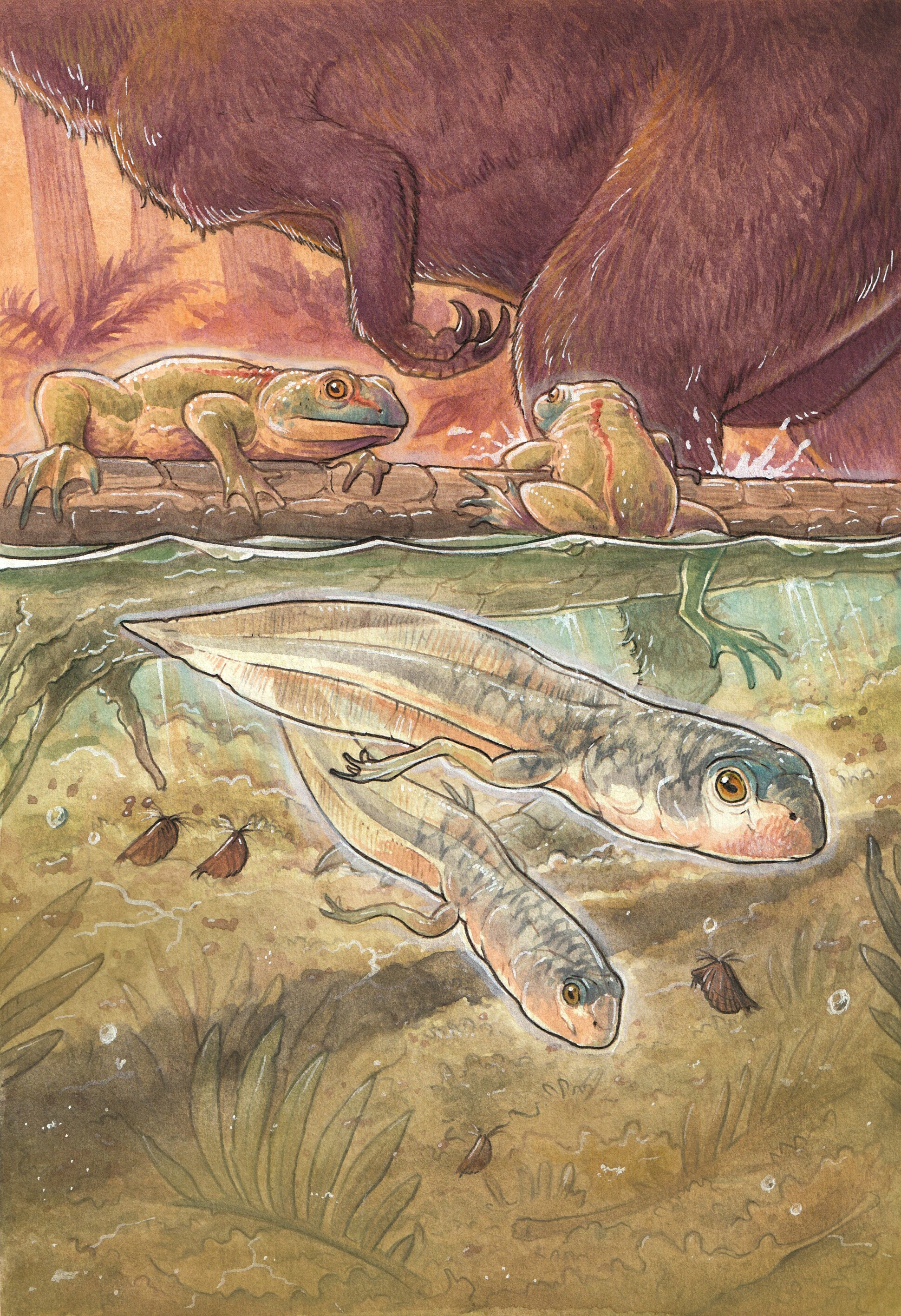 A drawing of two tadpoles, two frogs and a dinosaur like creature in the background. 