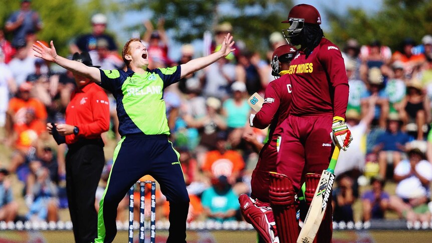 Ireland's Kevin O'Brien celebrates a wicket against West Indies in the World Cup match in Nelson.