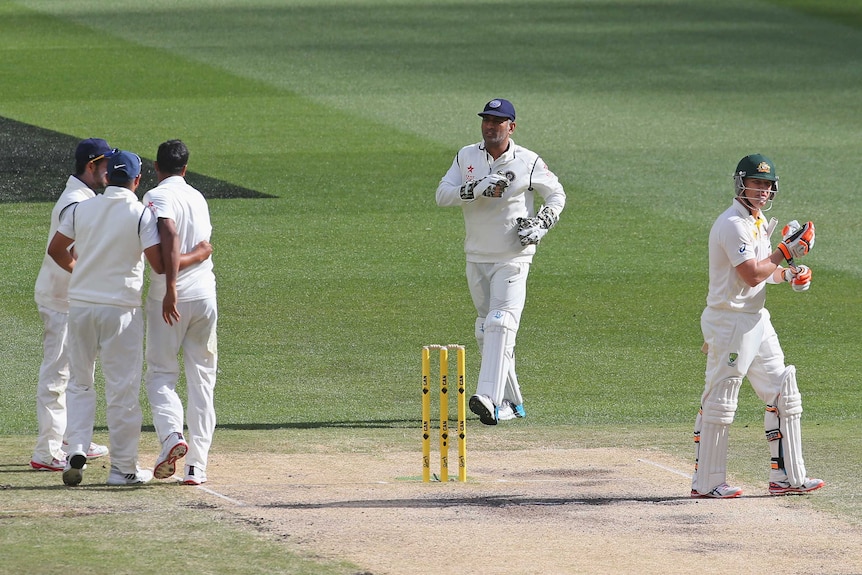 India celebrates the wicket of Brad Haddin