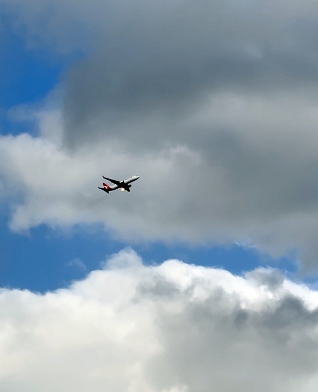 Flames coming from Sydney-bound Qantas flight forces plane to be diverted