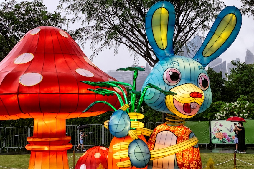 A lantern display with the image of a rabbit.