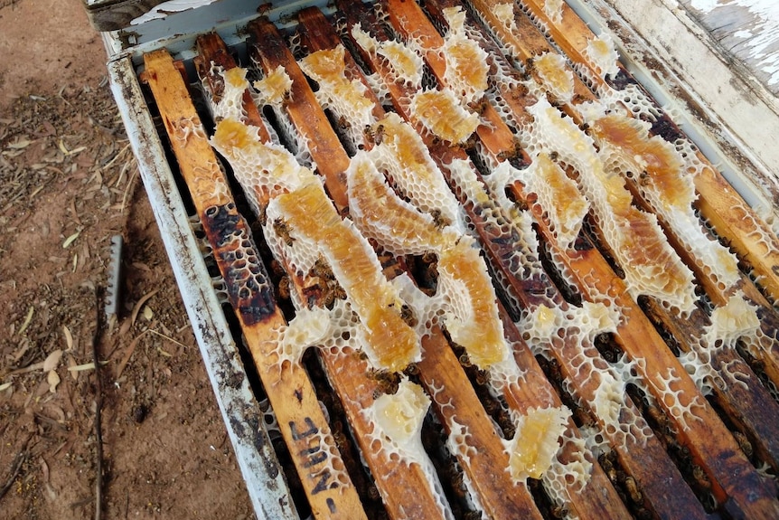 Honeycomb in racks.