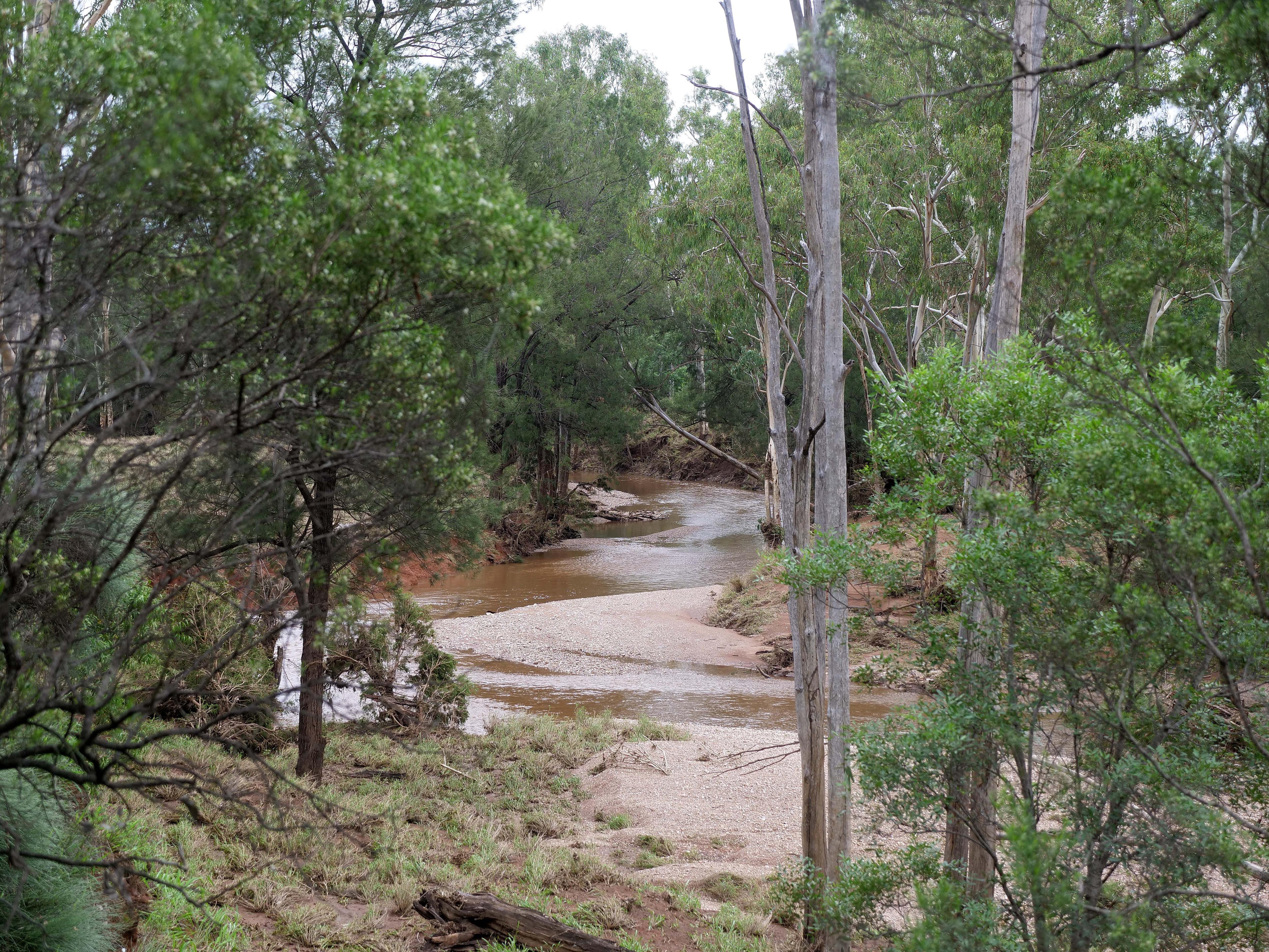 Un arroyo fluye a través del monte y parece seco, pero anteriormente fue inundado por fuertes inundaciones.