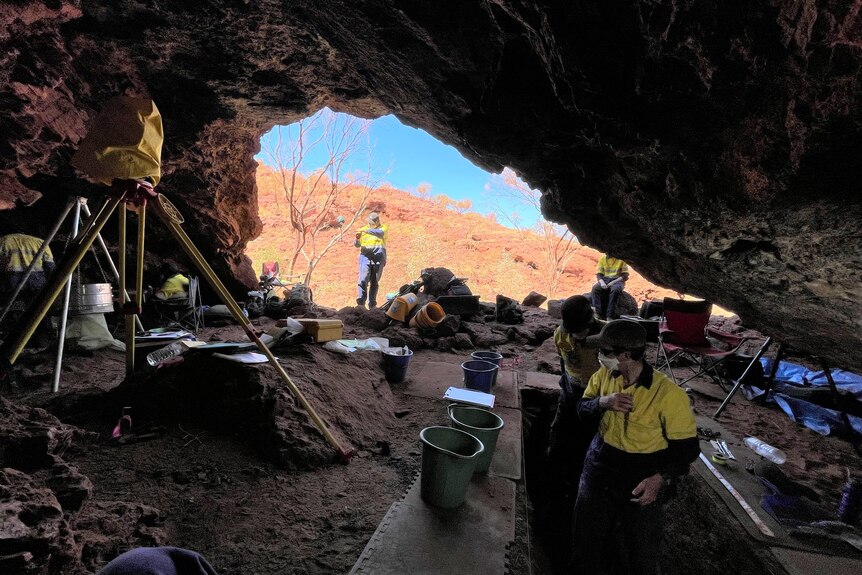 Archaeologists excavating a rock shelter