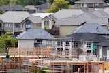 Townhouses under construction in a suburb.