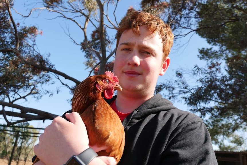 A boy with short ginger hair wearing a dark blue hoodie holds a brown chicken.