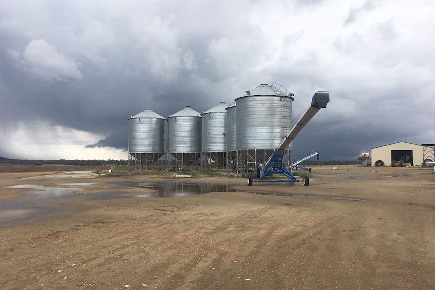 Storm clouds a welcome sight at a farm with four grain silos in a paddock at drought-stricken Dululu, west of Gladstone.