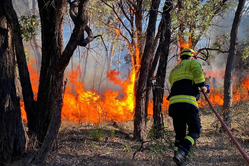 A firefighter uses a hose to battle a blaze