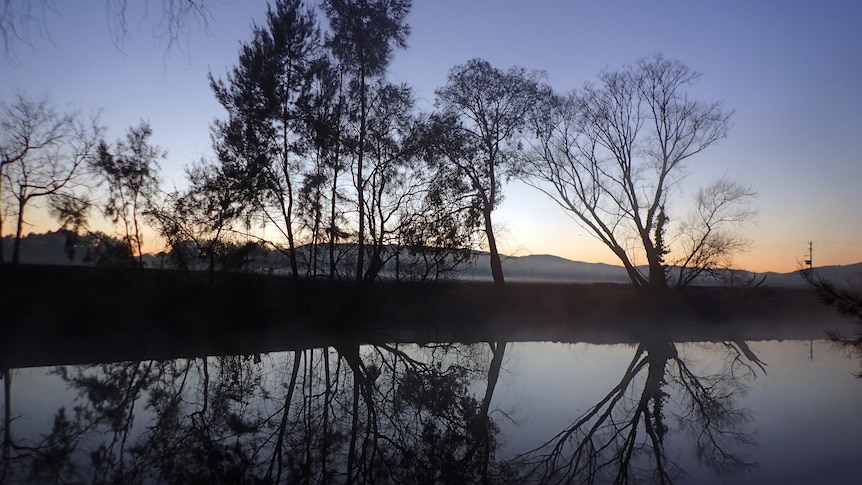 Trees line the banks of a shallow river as the sun begins to rise over a distant mountain.