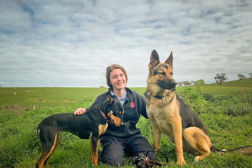 Portrait of Tara Bellerose and two dogs on a farm with sheep in the background.