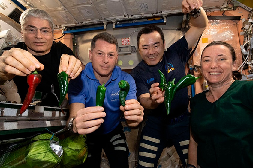 Astronauts in space holding chillies