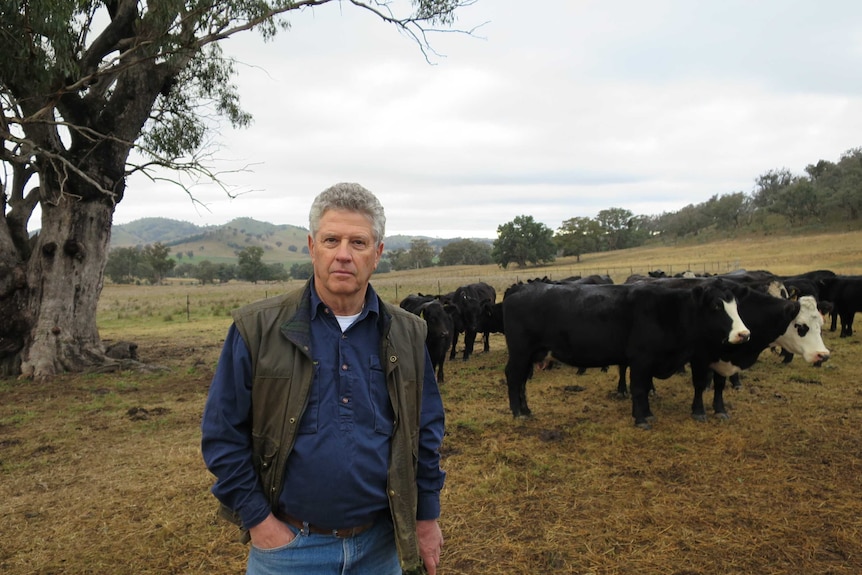 Hugh Bateman standing in a paddock with cattle in the background.