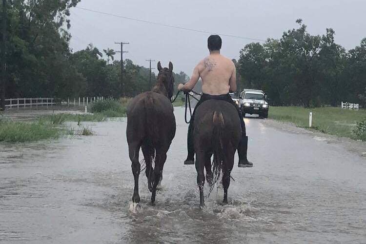 A man on a horse leading another horse through flooded water in Bluewater.