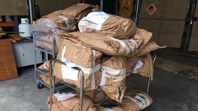 Cannabis seized at Acacia Ridge in Brisbane's south on December 16, 2015.