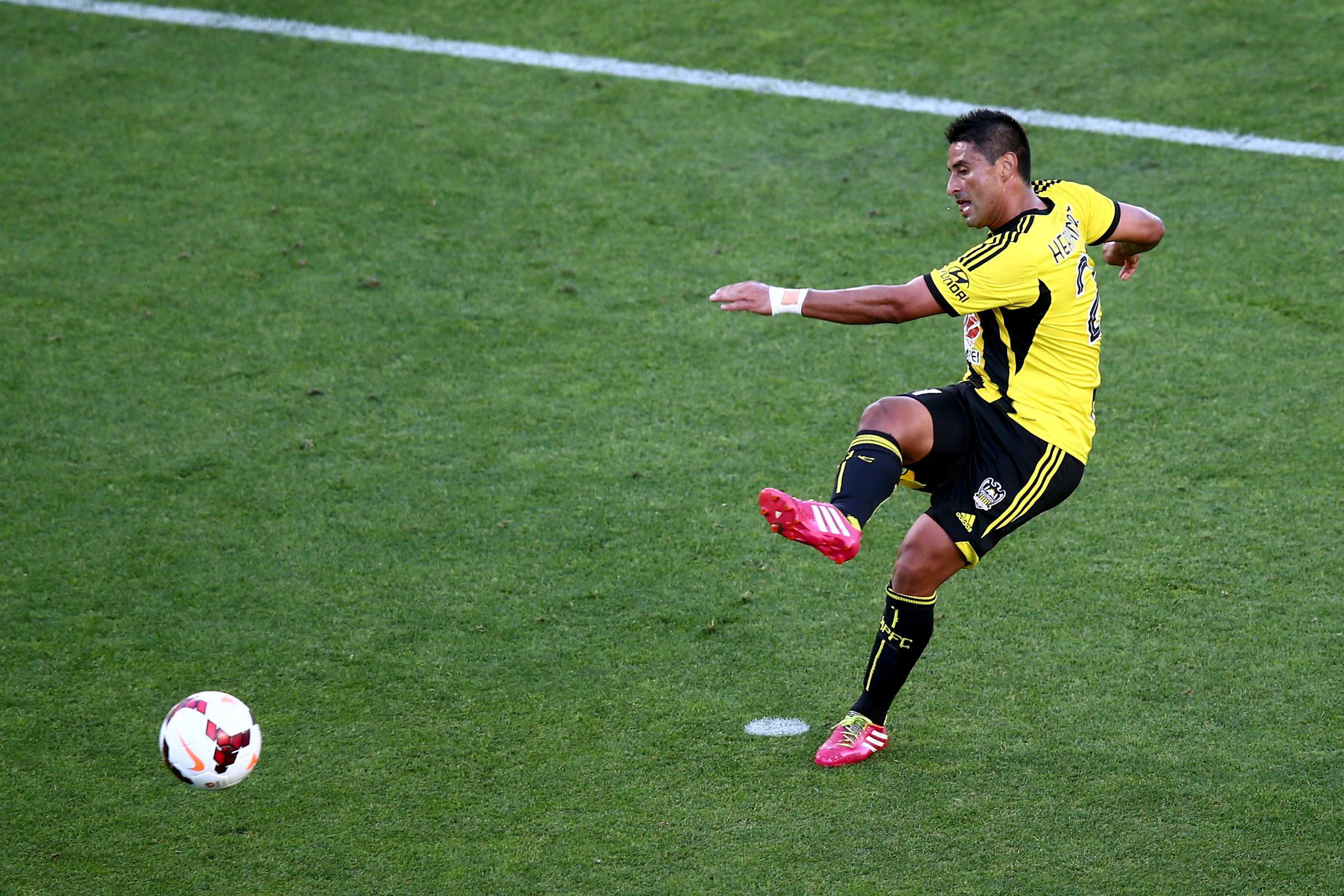 Wellington Phoenix Beat Adelaide United 2-1 In Auckland To Continue A ...