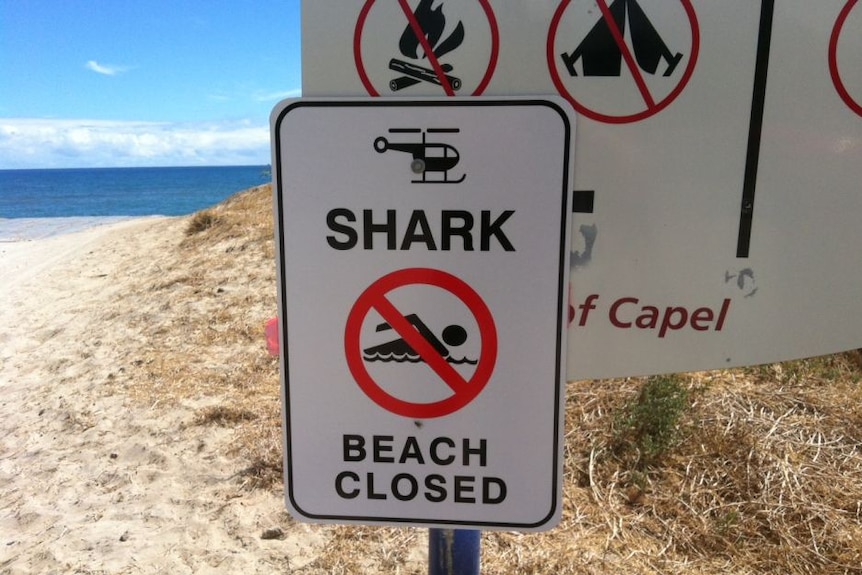 A generic shark warning sign