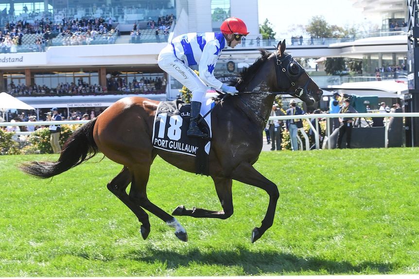 A jocky in blue and white silks and a red cap rides a dark brown horse in front of a crowd at the Flemington Racecourse.