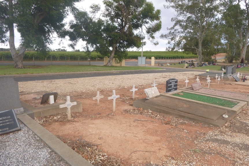 A grave site at a cemetery with many crosses.