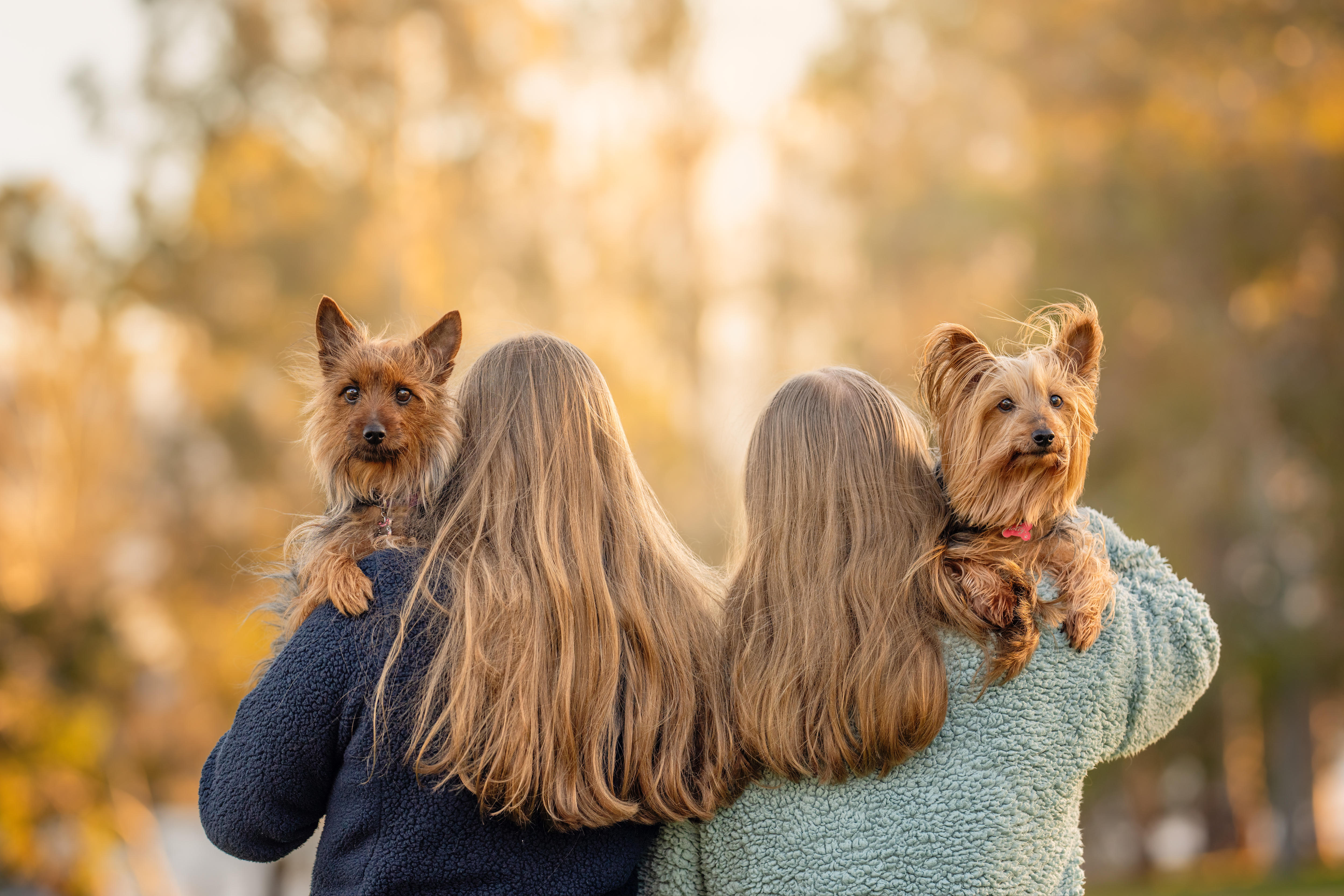Two girls stand with their backs to the camera holding two puppies.